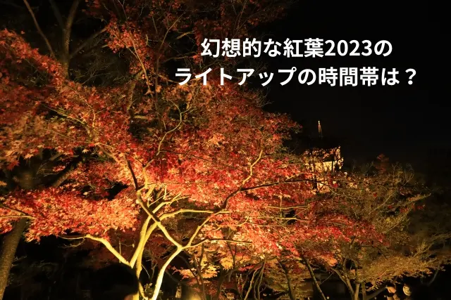 幻想的な紅葉2023のライトアップの時間帯は？