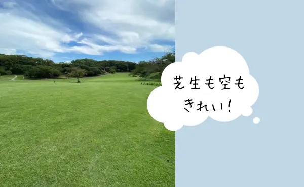 芝生も空もきれい